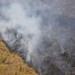 Bolivia registered 15,354 forest fires (similar to the one pictured in August 2019) in the first four months of 2019 -- a 35 percent increase on the same period the year before, the Friends of Nature Foundation (FAN) said