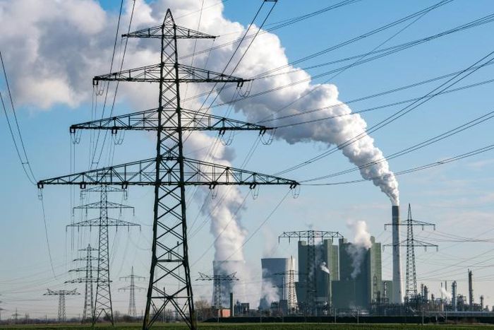 The IEA said it foresaw sweeping falls in demand for power from coal, oil and gas in 2020