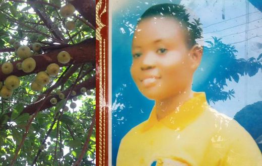 Girl who planted apple tree in Ashanti region is dead; can’t enjoy “the fruit of her labour”