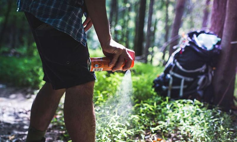 What is DEET and How Safe Is it?