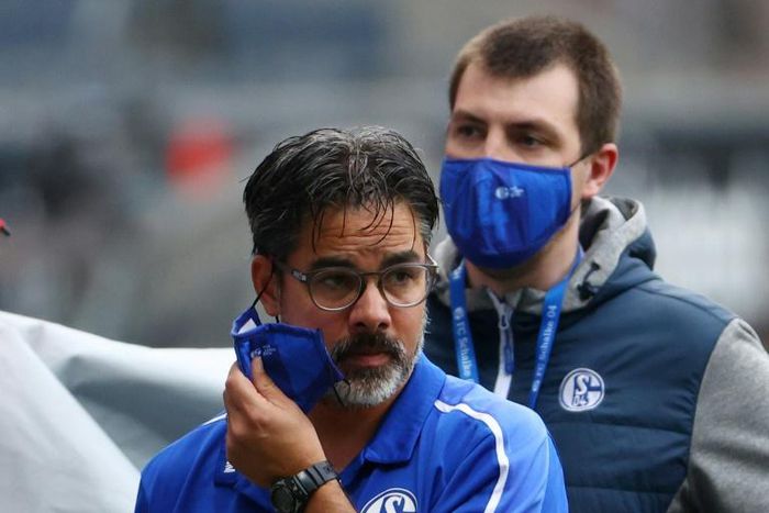 David Wagner was appointed Schalke boss in July last year