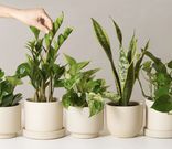 The 30 Best Subscription Boxes Every Guy Will Use