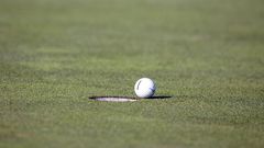 Dr. Pimple Popper Popped 'Golf Ball' Lipomas