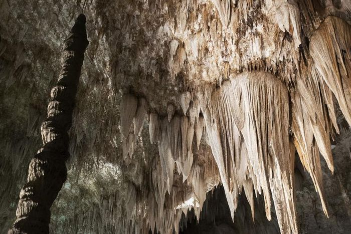 Watch Dr. P Squeeze A 'Stalagmite' Ear Whitehead