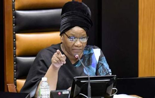 South African MPs watch porn as their Zoom meeting is hacked