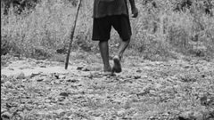 84-year-old man caught ‘servicing’ his son’s wife with all the strength left in him