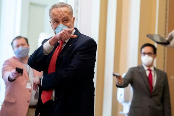 Democrats, like US Senate Minority Leader Chuck Schumer, are more likely to wear masks