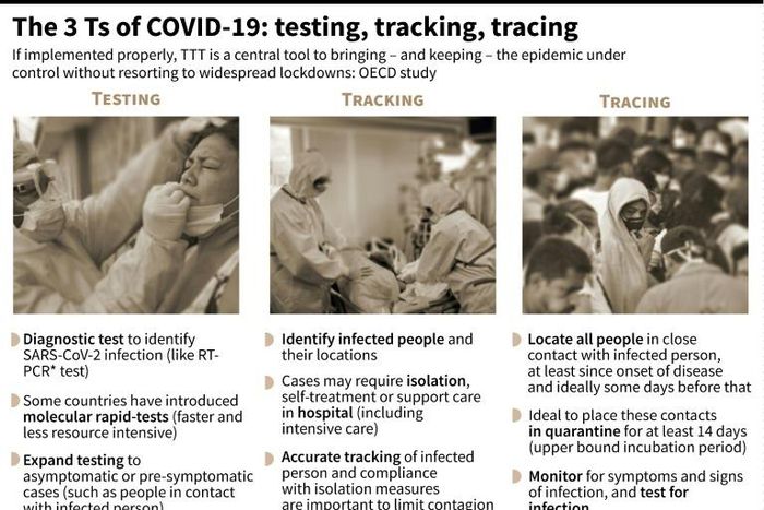 Graphic on the testing, tracking and tracing COVID-19 infections, according to an OECD report.