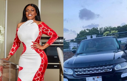 I personally reported fake number plate to Police – Nana Aba
