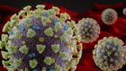 Why We Don't Know the True COVID-19 Death Rate
