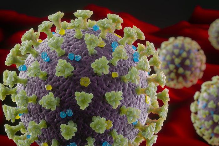 Why We Don't Know the True COVID-19 Death Rate