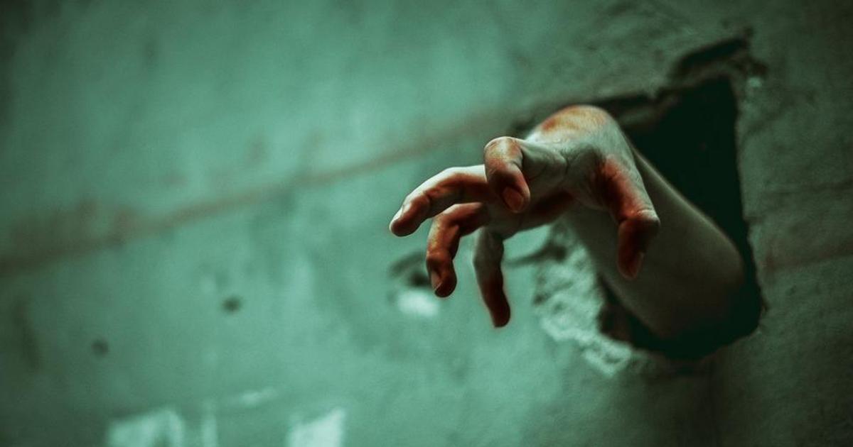 Dr. Pimple Popper Just Squeezed A Completely Intact 'Zombie' Cyst In ...