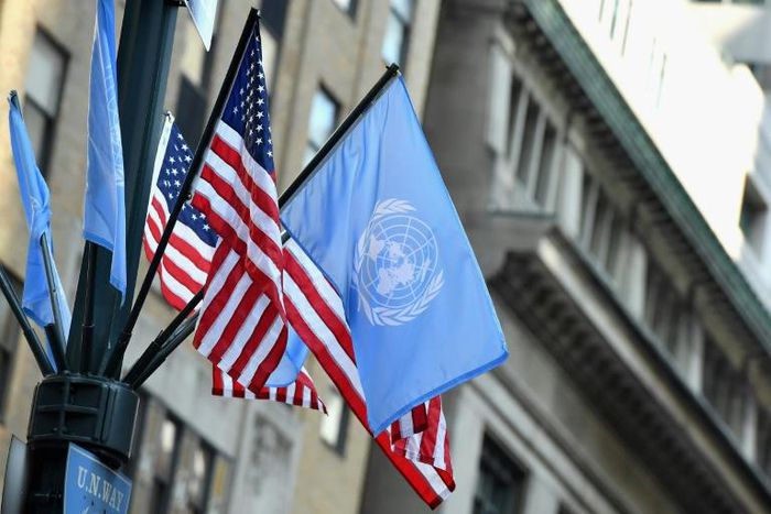 A proposal to submit a new resolution on a global ceasefire was put forward during a teleconference held behind closed doors and organized by Estonia, which holds the rotating presidency of the UN Security Council