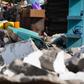Muslim prays in demolished mosque