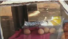 Pastor sells eggs in the streets to feed 6 six children as he awaits reopening of churches