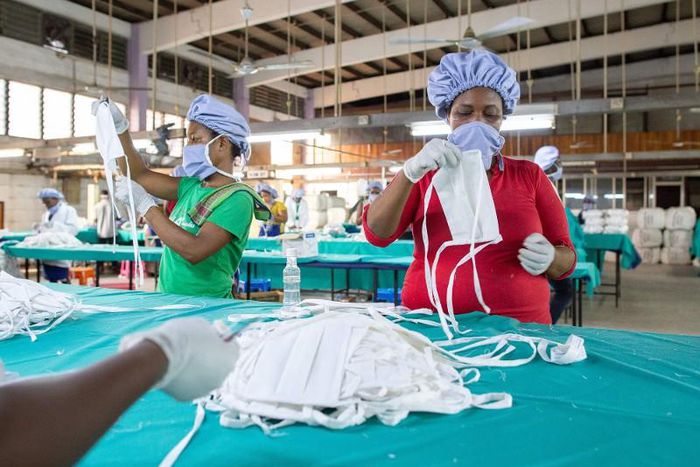 COVID-19 (Coronavirus)