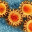 The Coronavirus Mutation Isn't That Scary