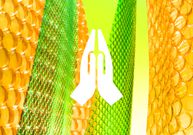 bubble wrap immunity