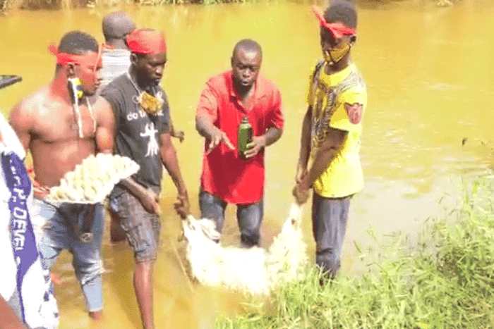 VIDEO: NPP members make lamb sacrifice to “resist” imposition of candidate