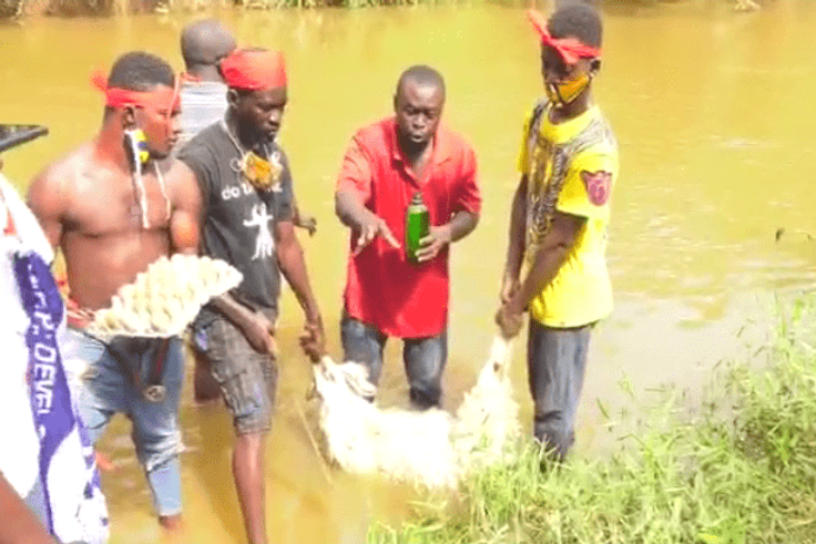 VIDEO: NPP members make lamb sacrifice to “resist” imposition of candidate