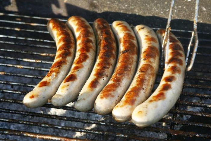 William's mother said she hoped the smell of barbecue would coax her missing autistic son into approaching someone for help