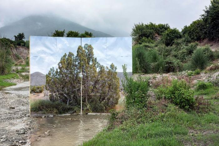 Gohar Dashti explores nature and its relationship to mankind through her photography