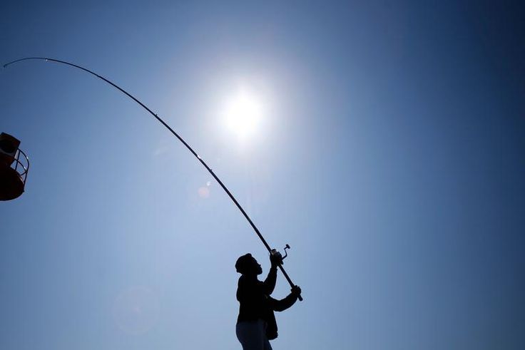 Dr. Pimple Popper Tweezes a Blackhead Free