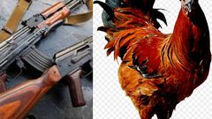 4 robbers heavily armed with AK47 storm village to steal one chicken