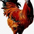 4 robbers heavily armed with AK47 storm village to steal one chicken