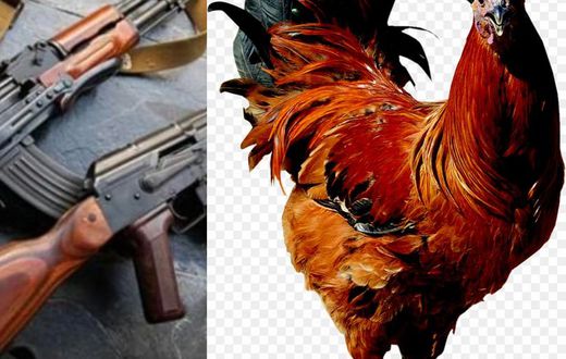 4 robbers heavily armed with AK47 storm village to steal one chicken