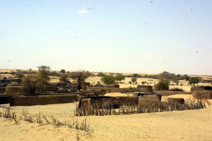 The Janjaweed was accused of applying a scorched earth policy against ethnic groups suspected of supporting rebels in Sudan's Darfur region