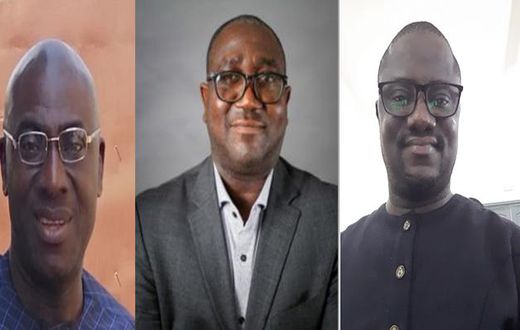 Guaranteeing the Safety of Journalists: West African experts share perspectives