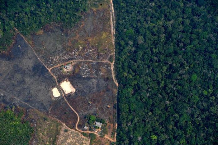 Destruction of the Amazon rainforest in Brazil is largely caused by illegal logging, mining and farming on protected lands