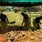 Men dig a grave at a cemetery in the Nicaraguan capital Managua