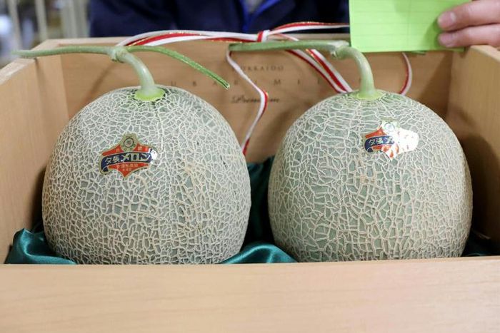 A pair of premium Japanese melons have sold for just a slice of the five million yen ($46,000) reached at auction last year