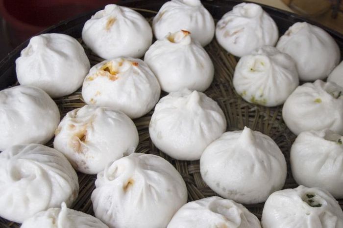 Dr. Pimple Popper Popped 'Dim Sum' from Cysts