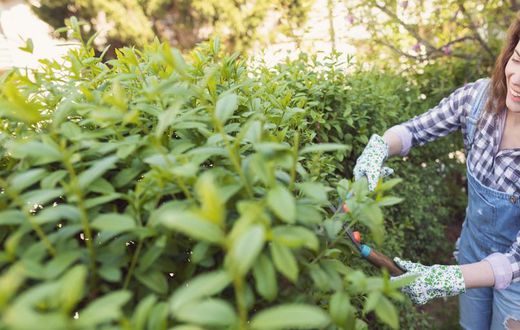 How To Get Rid Of Ticks From Your Body (And Yard!)