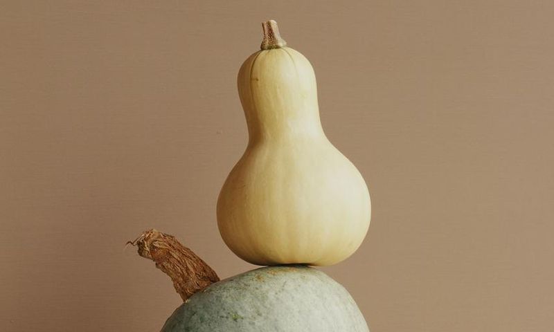 Dr. Pimple Popper Pops a 'Gourd-Like' Scalp Cyst
