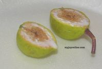“It’s more of a fig than an apple” – Horticulture lecturer says Wiamoase ‘apple’ isn’t apple
