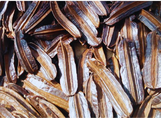 7 powerful Ghanaian natural libido boosters that can enhance your sexual wellness