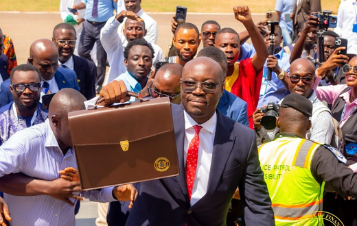 2025 Budget: Here are all the 6 nuisance taxes the Mahama government has abolished