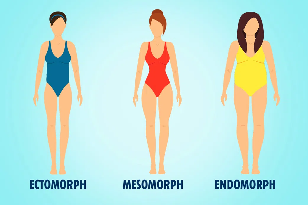 What's your shape? A simple guide to understanding your body type