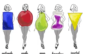 BodyShapes