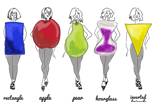 BodyShapes