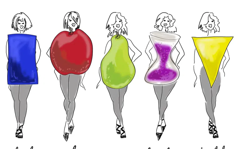BodyShapes