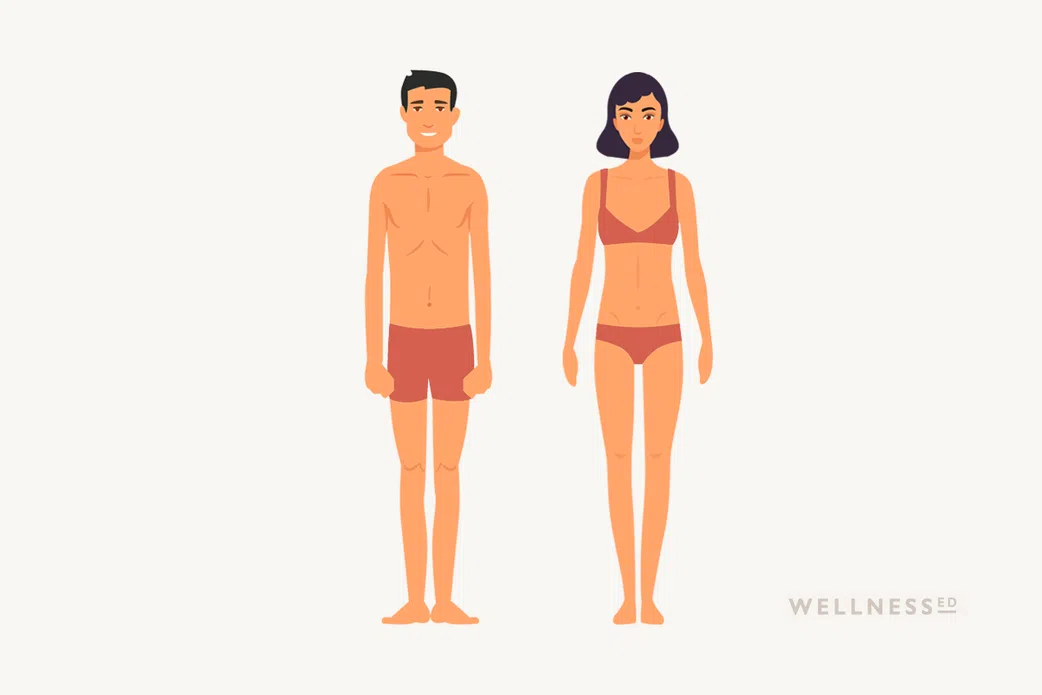 What's your shape? A simple guide to understanding your body type