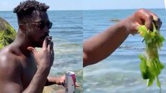 Asem's 'See Weed' entry for 'Don't Leave Me' challenge