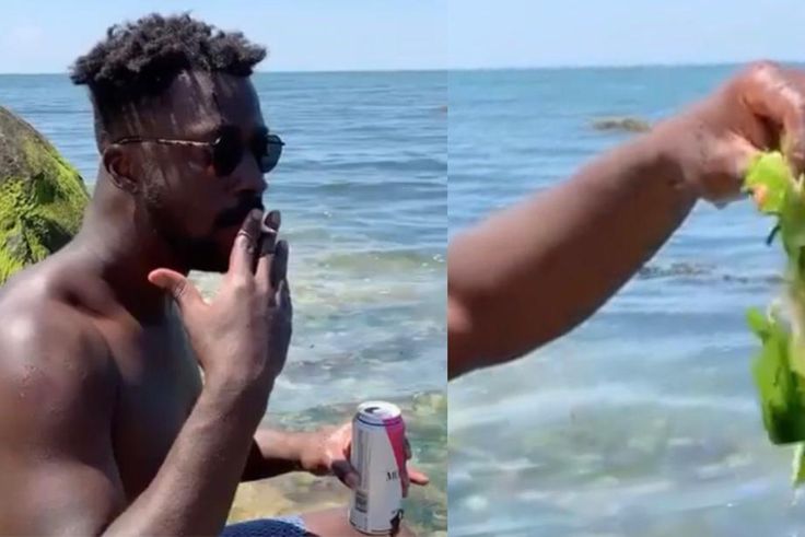 Asem's 'See Weed' entry for 'Don't Leave Me' challenge