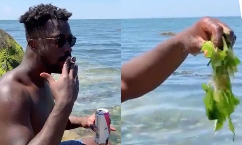 Asem's 'See Weed' entry for 'Don't Leave Me' challenge