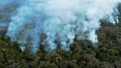 Aerial view showing large scale forest fires in Pocone, Pantanal region (the largest tropical wetlands in the world), Mato Grosso State, Brazil on Ausgust 1, 2020